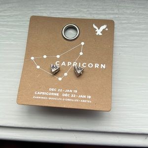 Capricorn Earrings